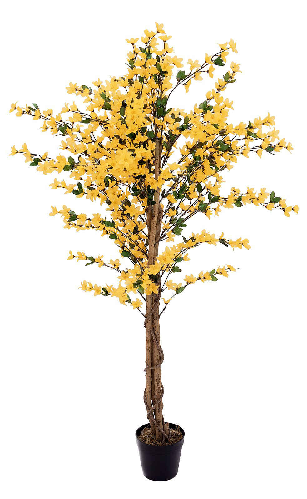 Künstlicher Forsythienbaum mit 3 Natur-Stämmen, gelb 150 cm