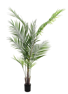 Künstliche Areca-Palme (Betelpalme) mit üppigem Blattwerk.