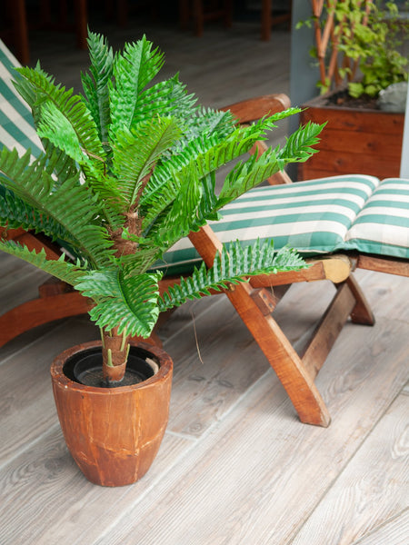 Cycas-Palme, Kunstpflanze, 70cm