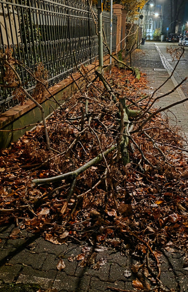 Akku-LaubbläserBläser Pistolen-Laubbläser Extrempower mit bis zu 210 km/h