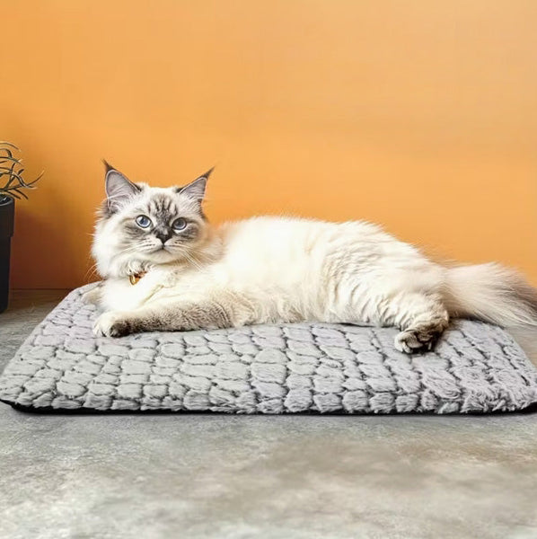 Extra warmes Thermo-Katzen- und Hundebett – ultra-weiche, waschbare Haustierliege