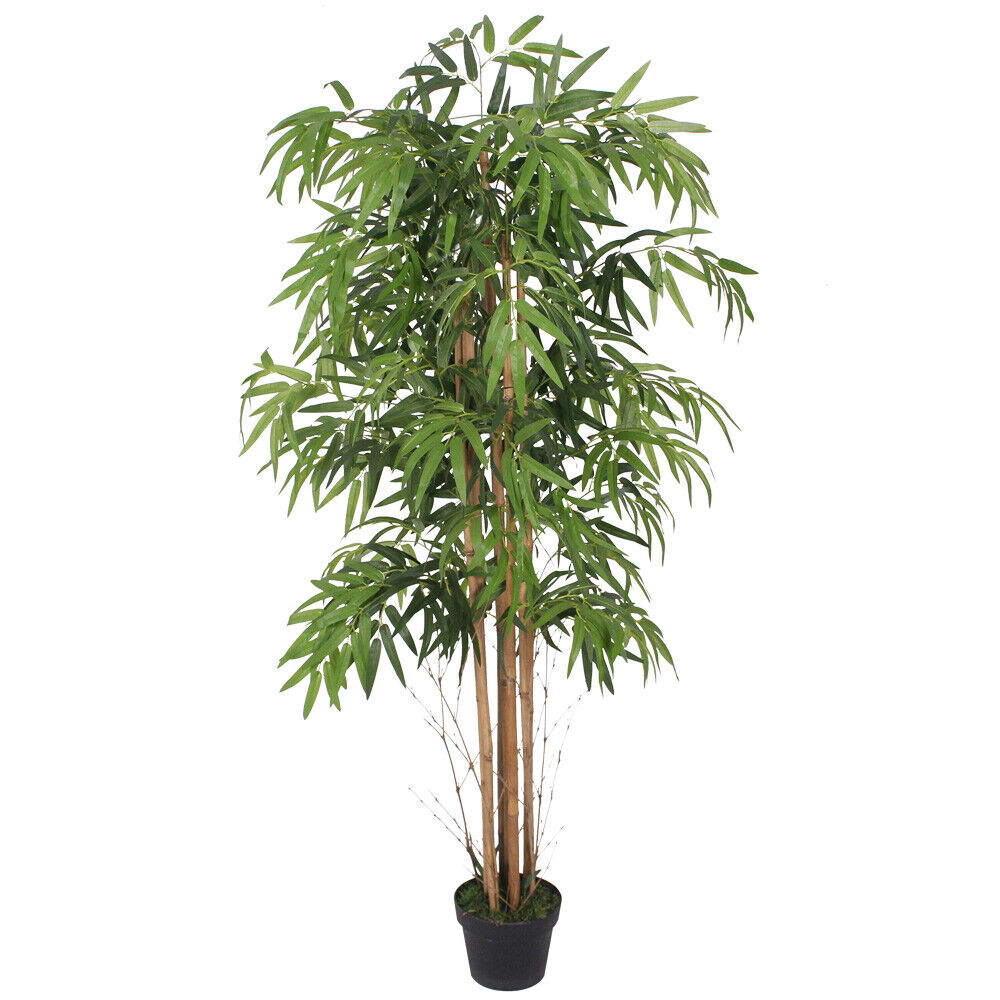 Künstlicher Bambus-Baum mit Seidenblättern und Naturstämmen. Pflegefrei. 150 bis 210 cm.