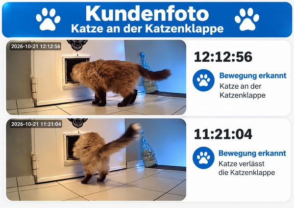 Überwachungskamera mit Einzelbild-Aufnahmen. WO IST MEINE KATZE? (Hund, Kind etc.) – EIN BLICK IN DIE APP, UND DU SIEHST, OB SIE DA WAR!