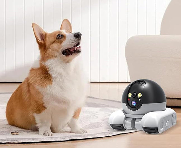 WLAN-Roboterkamera mit KI, Zwei-Wege-Audio & App-Steuerung für Zuhause. (Kinder, Haustiere, Senioren etc.)