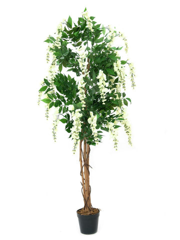 Künstlicher Wisteria Goldregenbaum weiß 1,50 - 1,80 Meter