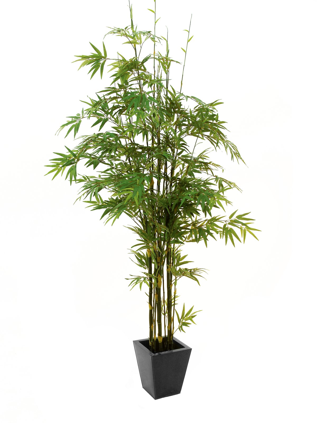 Künstlicher Dunkelstamm-Bambus mit Seidenblättern und Naturstämmen. 240 cm.