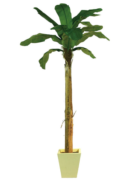 Künstliche Bananen-Palmen mit Seidenblättern und Naturstämmen. 7 Größen 100 bis 270 cm.