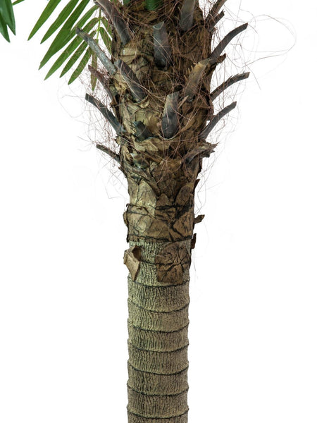 Kunstpalmen, Phönixpalmen mit seidenen Palmenwedeln. 150 bis 300 cm Höhe. Ein Highlight Ihrer Pflanzendekoration.