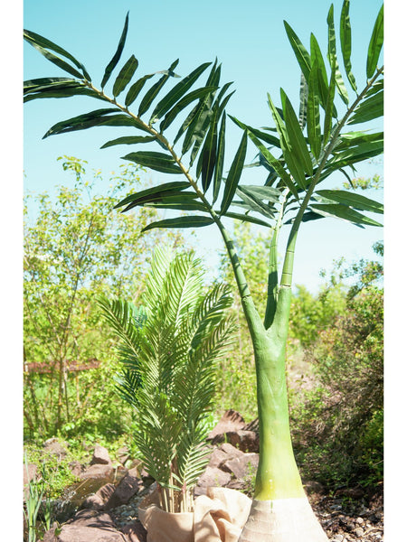 Künstliche Phoenixpalme mit Knollenstamm 2,40 Meter