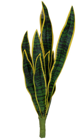 Bogenhanf Sansevieria grün-gelb 60 cm