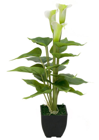 Calla mini Kunstpflanze 43 cm