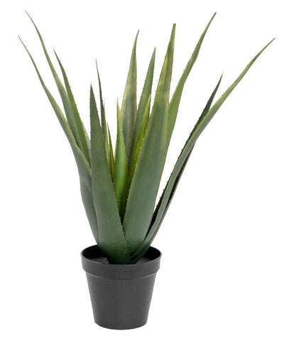 Künstliche Aloe-Vera Pflanze 60cm