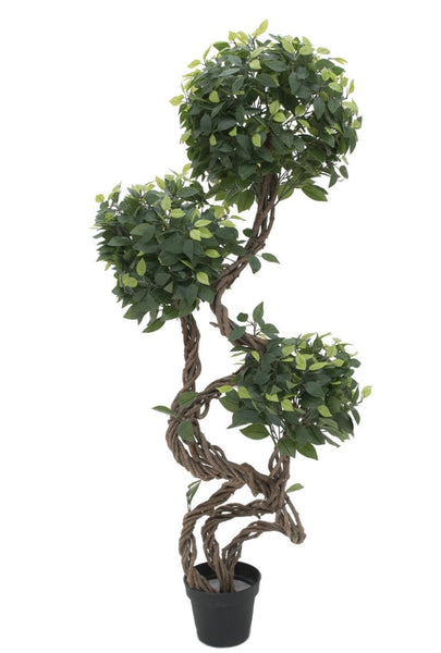 Künstlicher Ficus-Benjamini-Baum mit natürlichem Spiralstamm. 130 cm - 160 cm. Pflegefrei.
